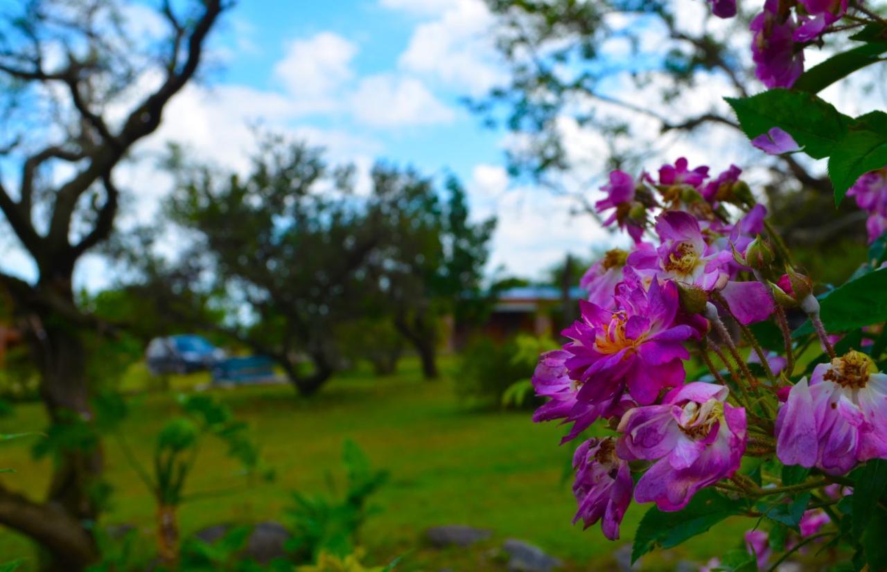 Cabanas Laguna Azul -Los Molles - San Luis Kültér fotó